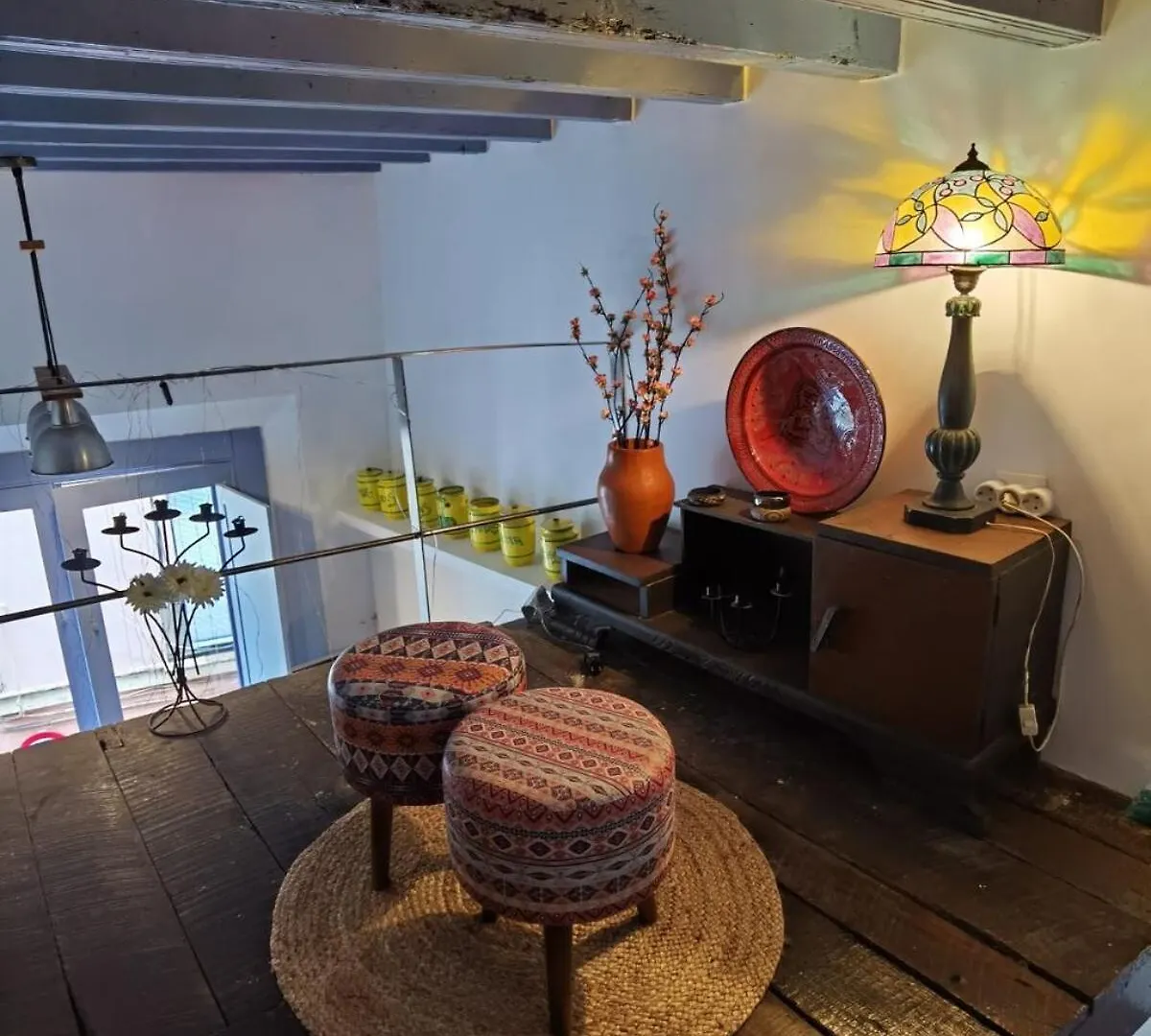 La Casa Vertical 加的斯